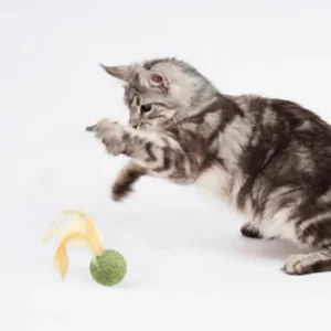 Feather catnip ball
